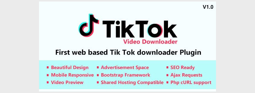 TikTok Video and Music Downloader